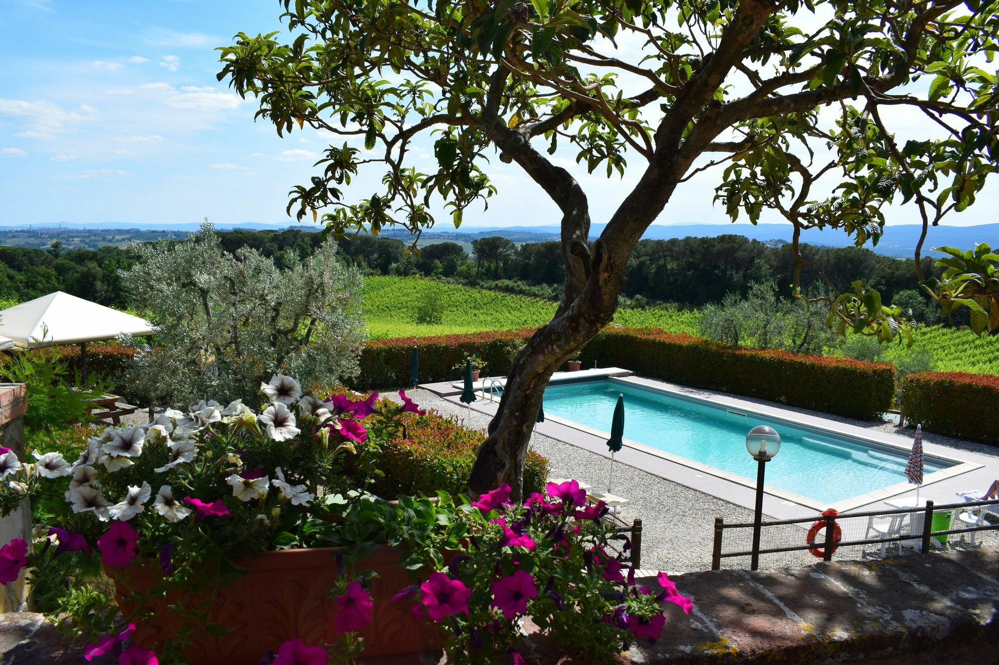 Agriturismo Amina, Winery & Hiking Vagliagli Екстериор снимка