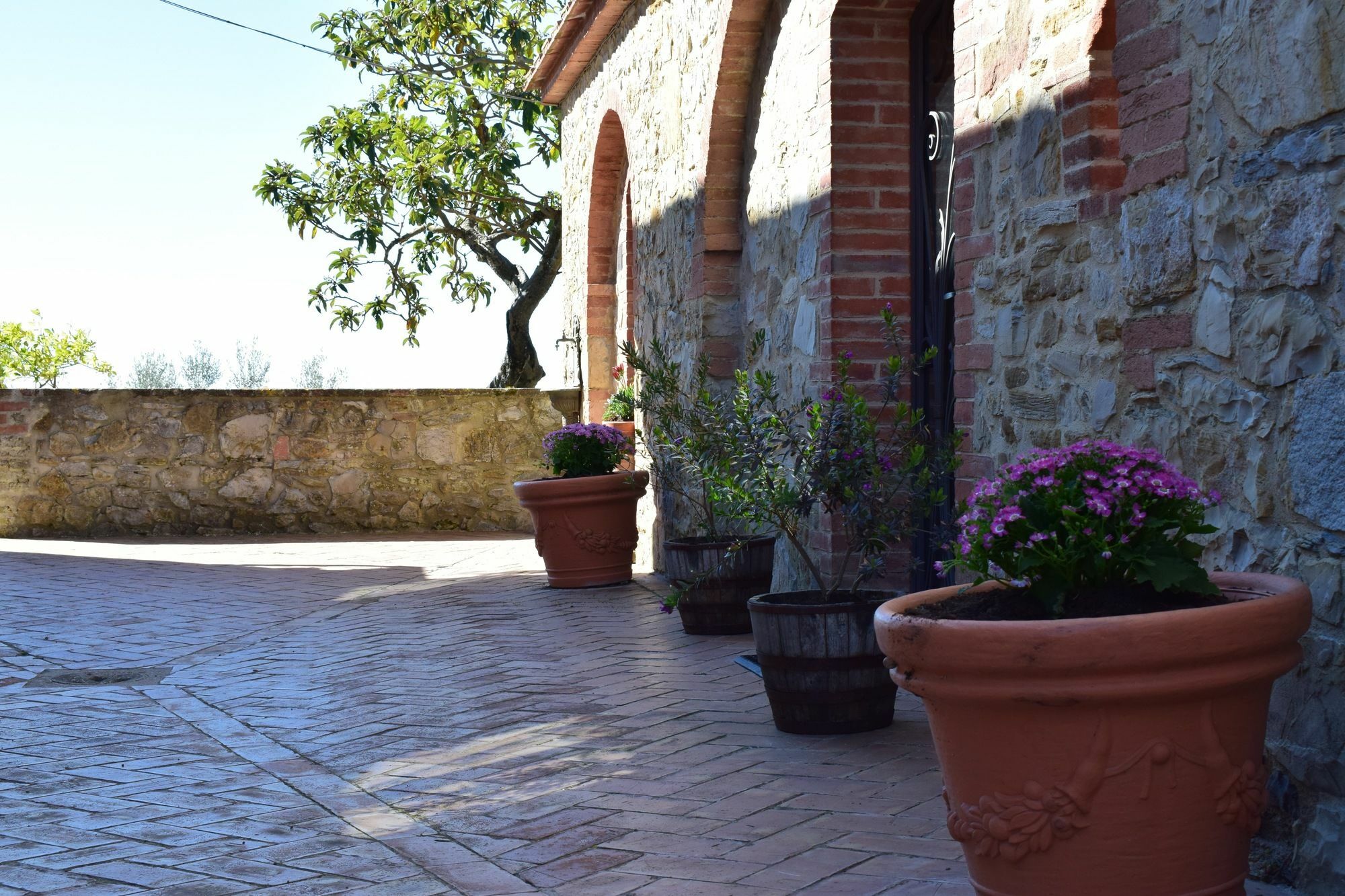 Agriturismo Amina, Winery & Hiking Vagliagli Екстериор снимка